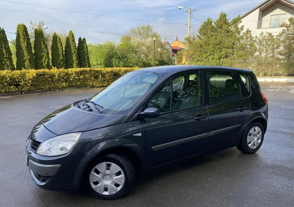 Renault Scenic cena 15900 przebieg: 209000, rok produkcji 2008 z Krzanowice małe 352